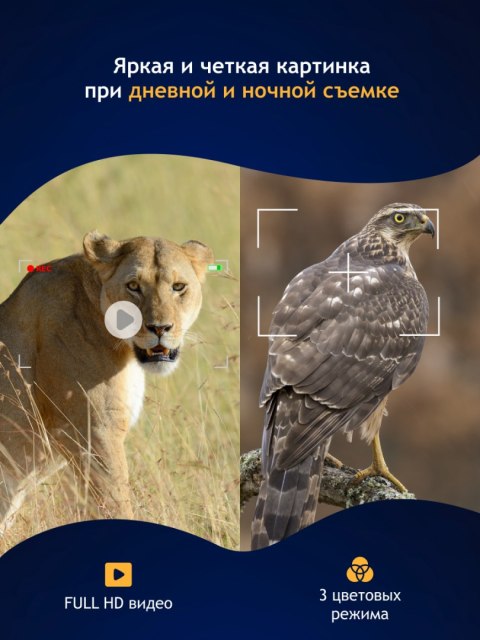 Levenhuk Cyfrowa lornetka noktowizyjna Levenhuk Halo NVB10 Helmet Levenhuk Cyfrowa lornetka noktowizyjna Levenhuk Halo NVB10 Helmet