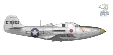 Arma Hobby 70058 P-39 Airacobra Reconnaissance 1/72