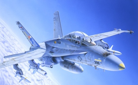 Italeri 0016 1/72 F/A 18 Wild Weasel Italeri 0016 1/72 F/A 18 Wild Weasel