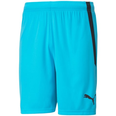 Spodenki męskie Puma teamLIGA błękitne 704924 40