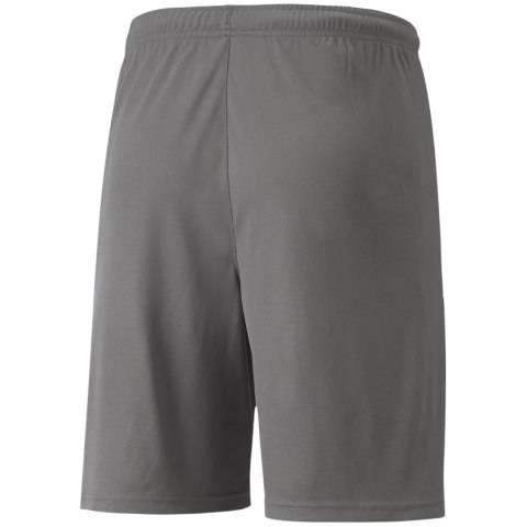Spodenki męskie Puma teamLIGA szare 704924 13
