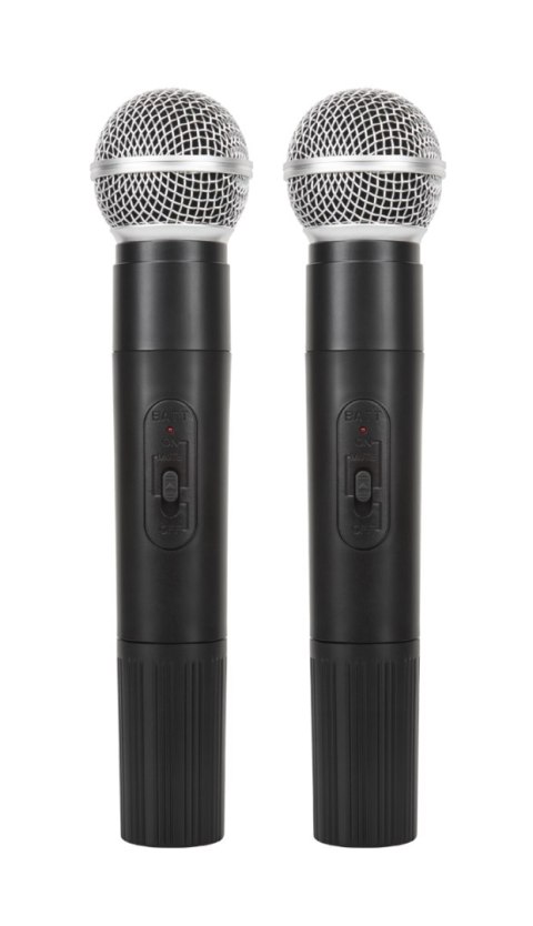 Kolumna aktywna ( z 2 mikrofonami bezprzewodowymi, SD, Bluetooth, USB) 10" 20W