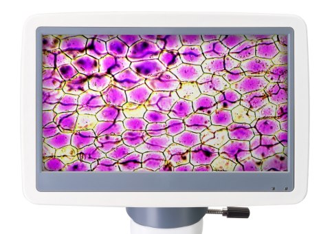 Levenhuk Mikroskop cyfrowy Levenhuk D85L LCD