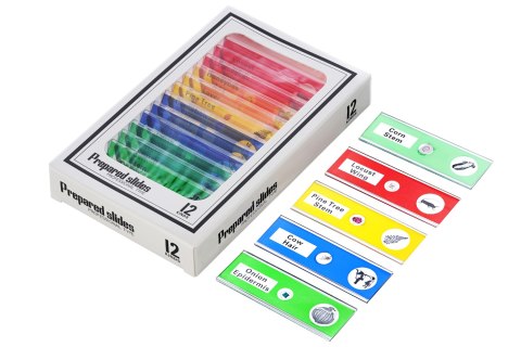 Levenhuk Mikroskop cyfrowy Levenhuk Rainbow DM500 LCD