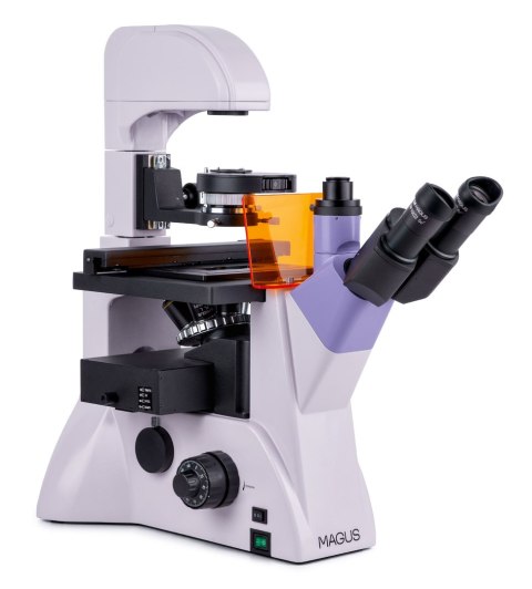 MAGUS Odwrócony mikroskop fluorescencyjny MAGUS Lum V500L