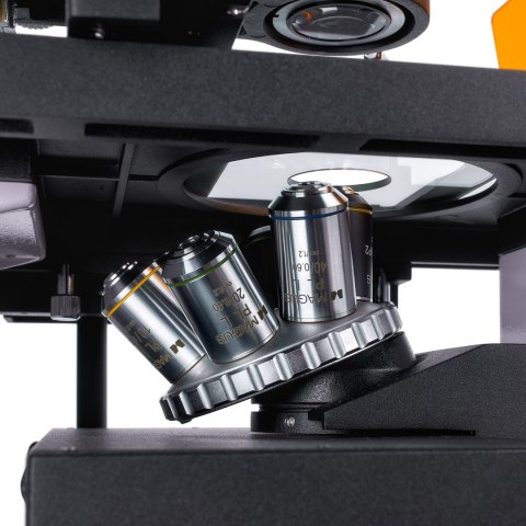 MAGUS Odwrócony mikroskop fluorescencyjny MAGUS Lum V500L