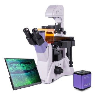 MAGUS Odwrócony mikroskop fluorescencyjny cyfrowy MAGUS Lum VD500 LCD