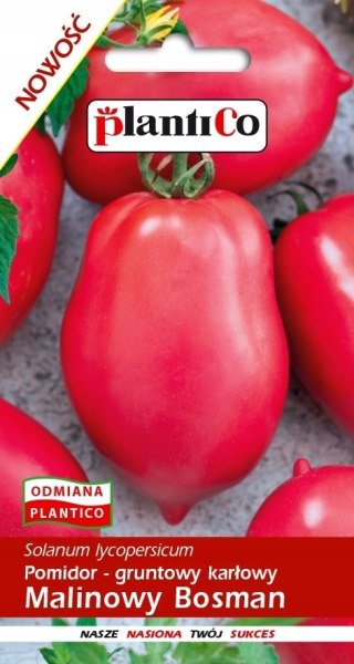 PLATINET NASIONA POMIDOR MALINOWY BOSMAN TOMATO SEEDS 0,5 G