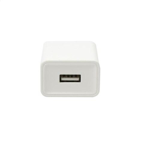PLATINET WALL CHARGER ŁADOWARKA SIECIOWA 10W USB-A WHITE [44753]