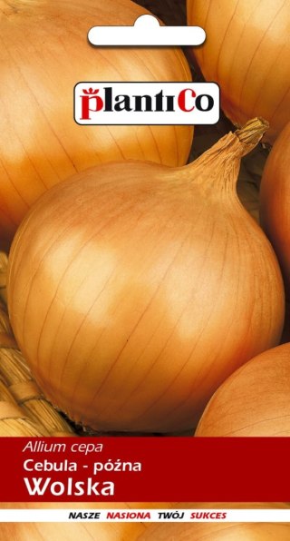 PLATINET NASIONA CEBULA WOLSKA ONION SEEDS 5 G