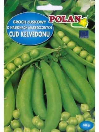 PLATINET NASIONA GROCH SIEWNY CUD KELVEDONU PEA SEEDS 40 G