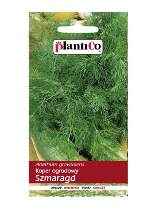 PLATINET NASIONA KOPER OGRODOWY DILL SEEDS 5 G