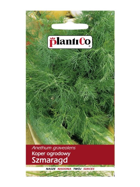 PLATINET NASIONA KOPER OGRODOWY DILL SEEDS 5 G
