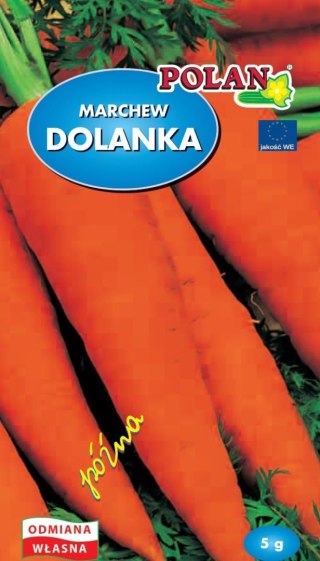 PLATINET NASIONA MARCHEW DOLANKA CARROT SEEDS 5 G