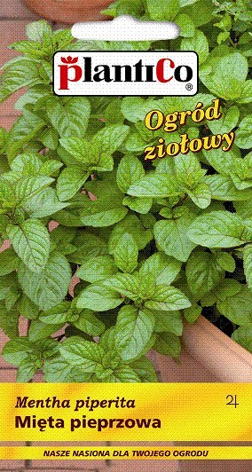 PLATINET NASIONA MIĘTA PIEPRZOWA PEPPER MINT SEEDS 0,1 G