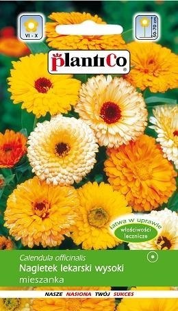 PLATINET NASIONA NAGIETEK WYSOKI LEK. CALENDULA OFFICINALIS SEEDS 3 G