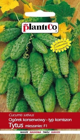 PLATINET NASIONA OGÓREK GRUNTOWY CUCUMBER SEEDS 3 G