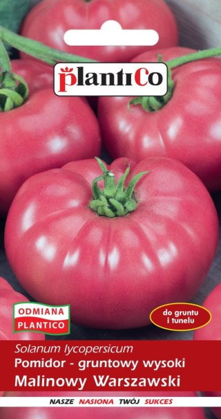 PLATINET NASIONA POMIDOR GRUNTOWY WARSZAWSKI TOMATO SEEDS 0,5 G