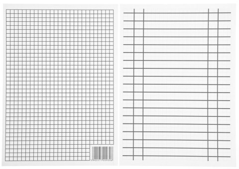 Liniuszek A5 INTERDRUK 209313