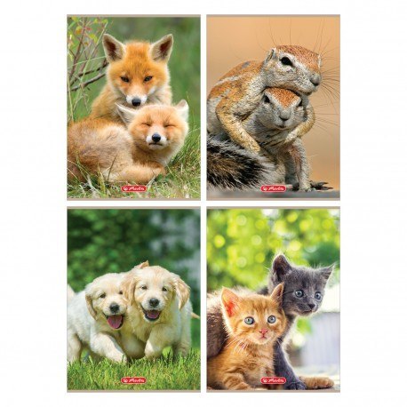 Zeszyt A4/32k linia wąska kolor Animals FOL A 10 HERLITZ 9583097