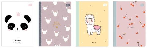 Zeszyt A5 16 kartek linia wąska kolorowa Trends Girls INTERDRUK 276001