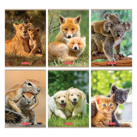 Zeszyt A5/32 kartki kratka Animals HERLITZ 9583063