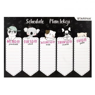 Plan lekcji z tabliczką mnożenia A5 Minisy STARPAK 494188