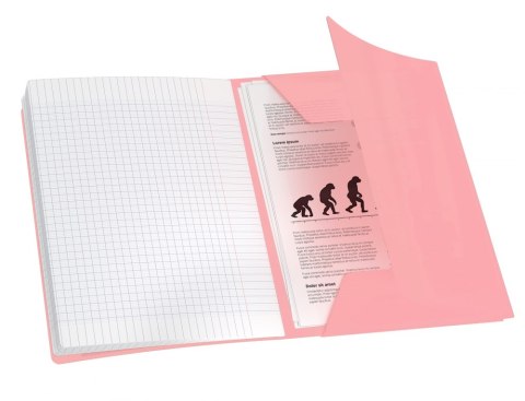 Zeszyt A5 Oxford EasyBook Pastel 60 kartek, kratka z marginesem