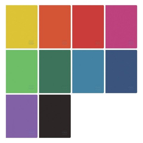Zeszyt B5/96k kratka Rainbow FOL A 5 HERLITZ 9583170