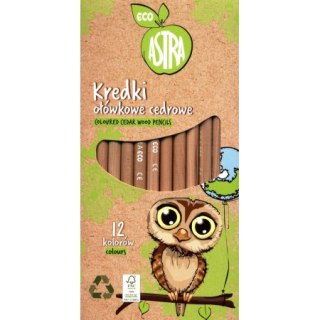 Kredki ołówkowe 12kol/180 drewniane cedr Eco pud ASTRA 312022050