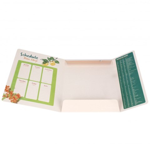 Teczka z gumką A4 Fruits STARPAK 536506