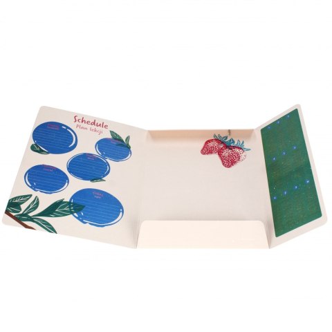 Teczka z gumką A4 Fruits STARPAK 536506