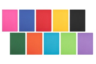 Zeszyt HERLITZ RAINBOW B5 60 kartek kratka z marginesem