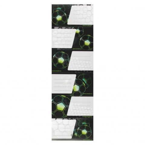 Plan lekcji z naklejkami na zeszyt Football STARPAK 553579