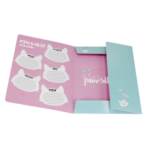 Teczka z gumką A4 Kitty STARPAK 553545