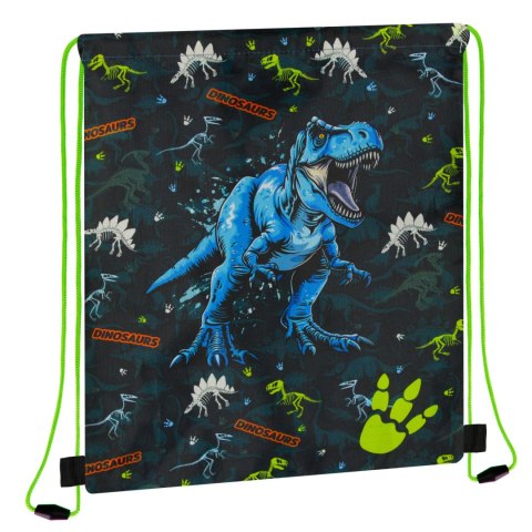 Worek na buty Dino STARPAK 550836