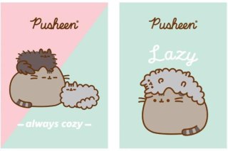 Zeszyt A4/32k kratka laminowany Pusheen U-pap A 15 ST. MAJEWSKI 675249
