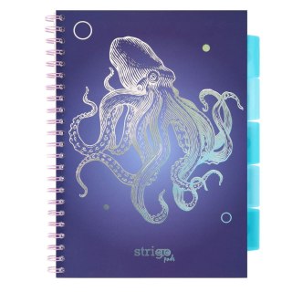 Kołozeszyt A4/100k kratka oprawa PP 80g Ośmiornica granatowa STRIGO PADS048