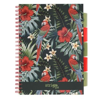 Kołozeszyt A4/100k kratka oprawa PP 80g papuga STRIGO PADS060