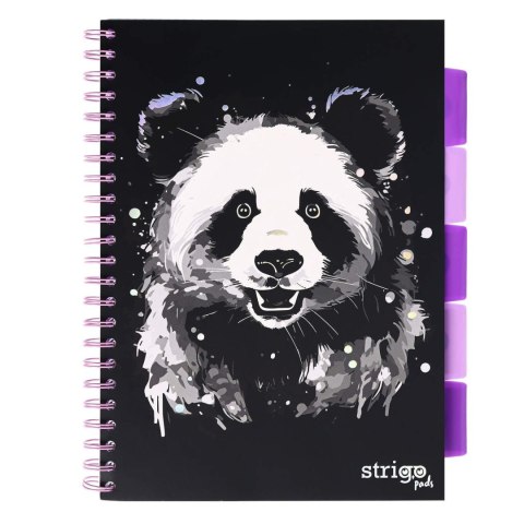 Kołozeszyt A4/100k linia oprawa PP 80g czarna Panda STRIGO PADS093