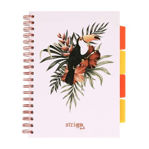 Kołozeszyt B5/100k kratka oprawa PP 80g Tukan biały STRIGO PADS064