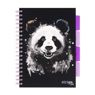Kołozeszyt B5/100k kratka oprawa PP 80g czarna Panda STRIGO PADS025