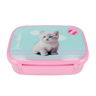 Pudełko śniadaniowe Kitty STARPAK 558657