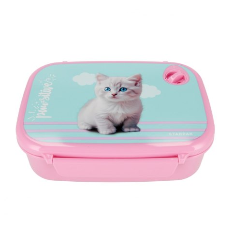 Pudełko śniadaniowe Kitty STARPAK 558657