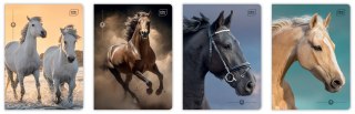 Zeszyt A5 16 kartek kratka 70g UV Wild Horses Interdruk