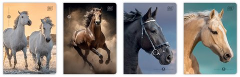 Zeszyt A5 16 kartek kratka 70g UV Wild Horses Interdruk