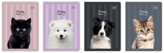Zeszyt A5 32 kartki kolorowa 3-linia 70G UV Puppy Sign Interdruk