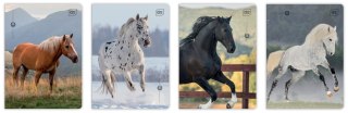 Zeszyt A5 32 kartki kolorowa linia 70 g UV Wild Horses Interdruk