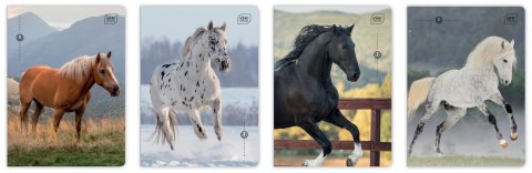 Zeszyt A5 32 kartki kolorowa linia 70 g UV Wild Horses Interdruk