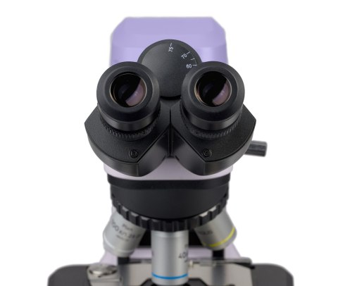 MAGUS Mikroskop biologiczny MAGUS Bio 240B MAGUS Mikroskop biologiczny MAGUS Bio 240B